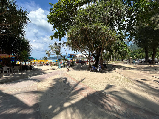 Pourquoi visiter Patong