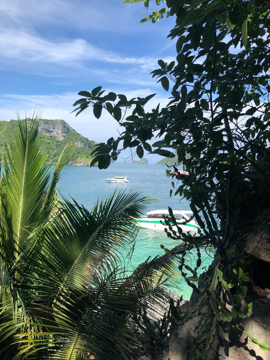 Où Manger à Ko Samui