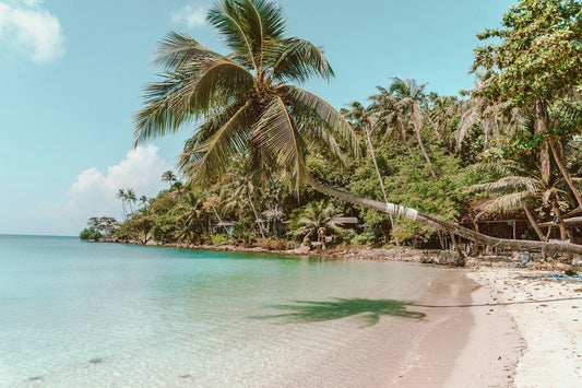 Activités - Visites à Koh Phangan