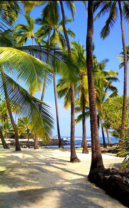Première visite a Rawai,