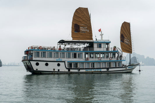 Plongez dans le cœur de l'emblématique baie d'Ha Long au Vietnam.