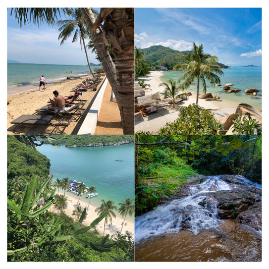 Visiter Koh Samui ? Un Guide Complet sur l'Île Paradisiaque