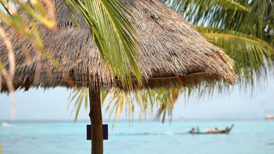 Koh Lipe : Paradis de la Plongée