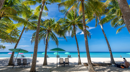 Étudier, Faire un Stage ou Travailler en Thaïlande : Le Guide Complet 2024 - TOP DESTINATIONS