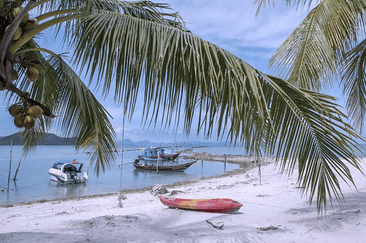 Hébergements populaires à Ko Samui par catégorie - TOP DESTINATIONS