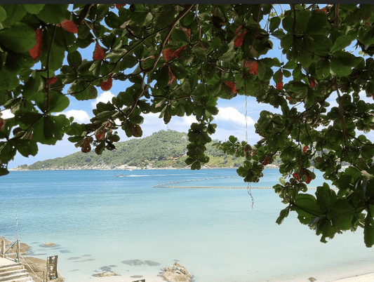 Info pratique de la météo pour voyager en Thaïlande - TOP DESTINATIONS