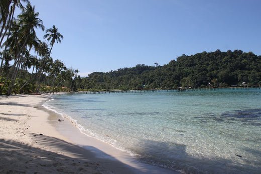 Koh Lan Thaïlande : L'Île Escapade près de Pattaya - Guide 2024 - TOP DESTINATIONS