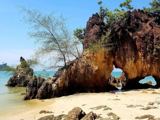 🌴 Koh Phayam : L’île secrète et sauvage de Thaïlande à découvrir absolument en 2026 - TOP DESTINATIONS