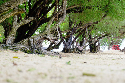 Koh Samet, cette perle méconnue de Thaïlande. - TOP DESTINATIONS