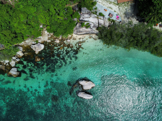Quoi faire a Koh Tao ?