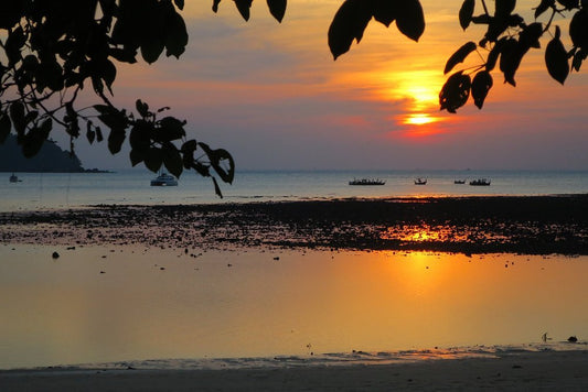 🇹🇭 Que faire à Koh Phayam ? Guide complet des meilleures activités (2026) - TOP DESTINATIONS