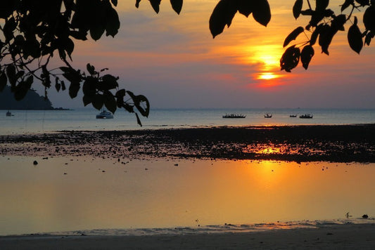 🇹🇭 Que faire à Koh Phayam ? Guide complet des meilleures activités (2026) - TOP DESTINATIONS